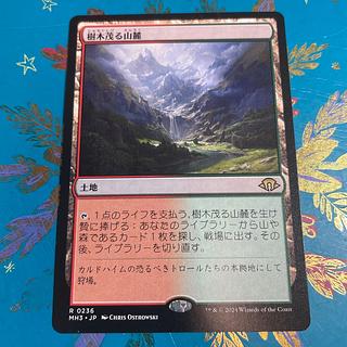 樹木茂る山麓」の激安通販 | magi