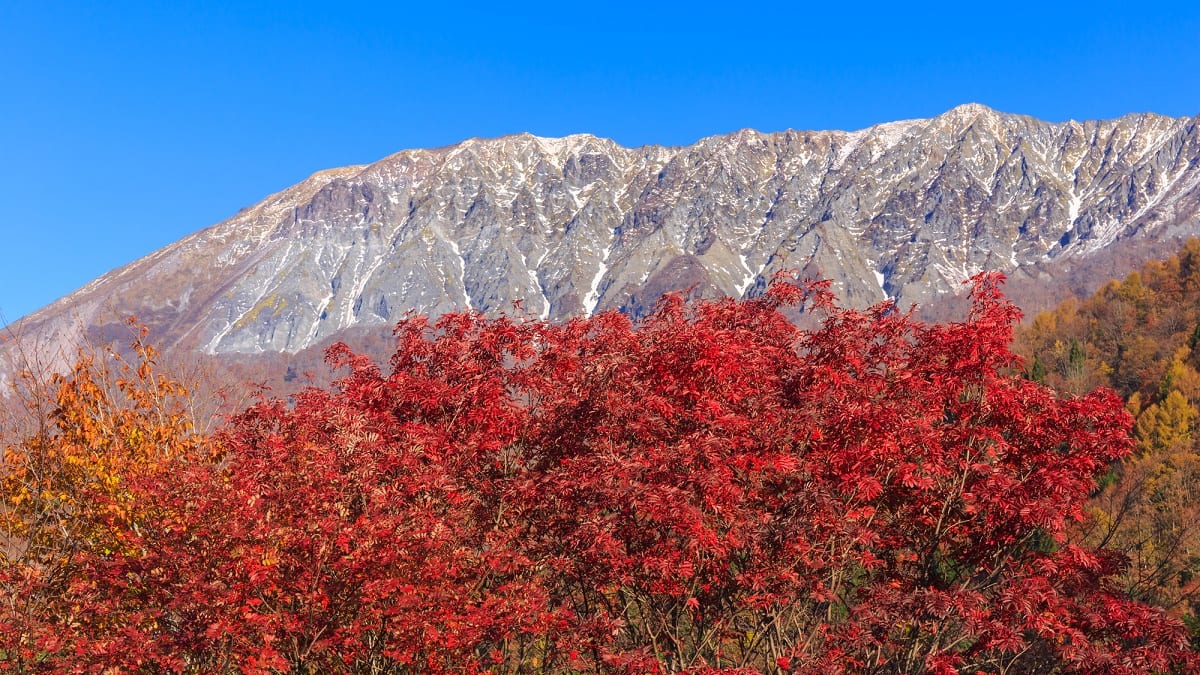 鳥取県】鍵掛峠の観光情報！|奥大山の紅葉絶景や田舎スポットも