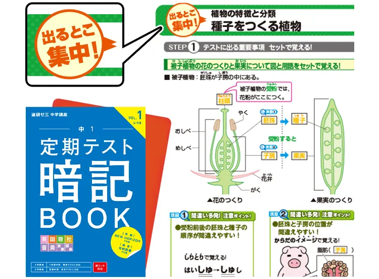 進研ゼミの定期テスト対策 | 進研ゼミ中学講座 | 中学生向け通信教育