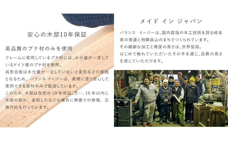 椅子 バランスイージー カバー付き 選べる フレーム カラー 姿勢矯正