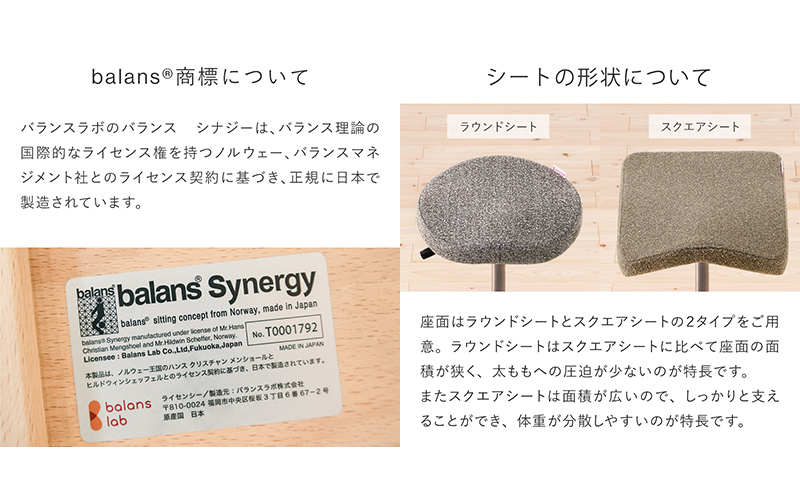 バランス シナジー(カバーなし) 椅子 腰痛 対策 イス バランスラボ