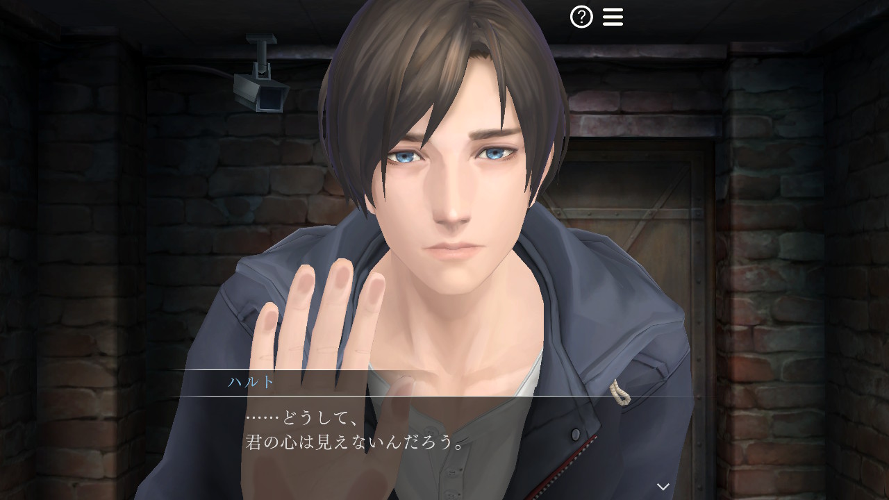 囚われのパルマ デラックス エディション | My Nintendo Store（マイ