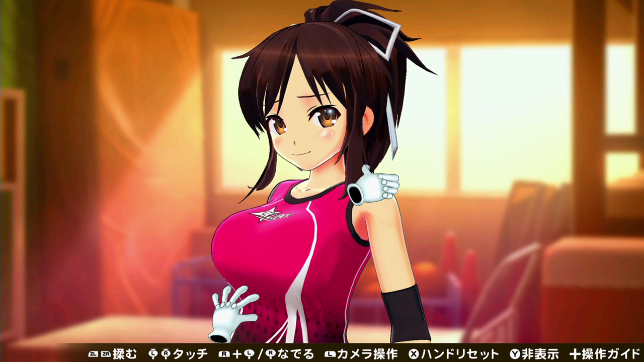 シノビリフレ -SENRAN KAGURA- | My Nintendo Store（マイニンテンドー