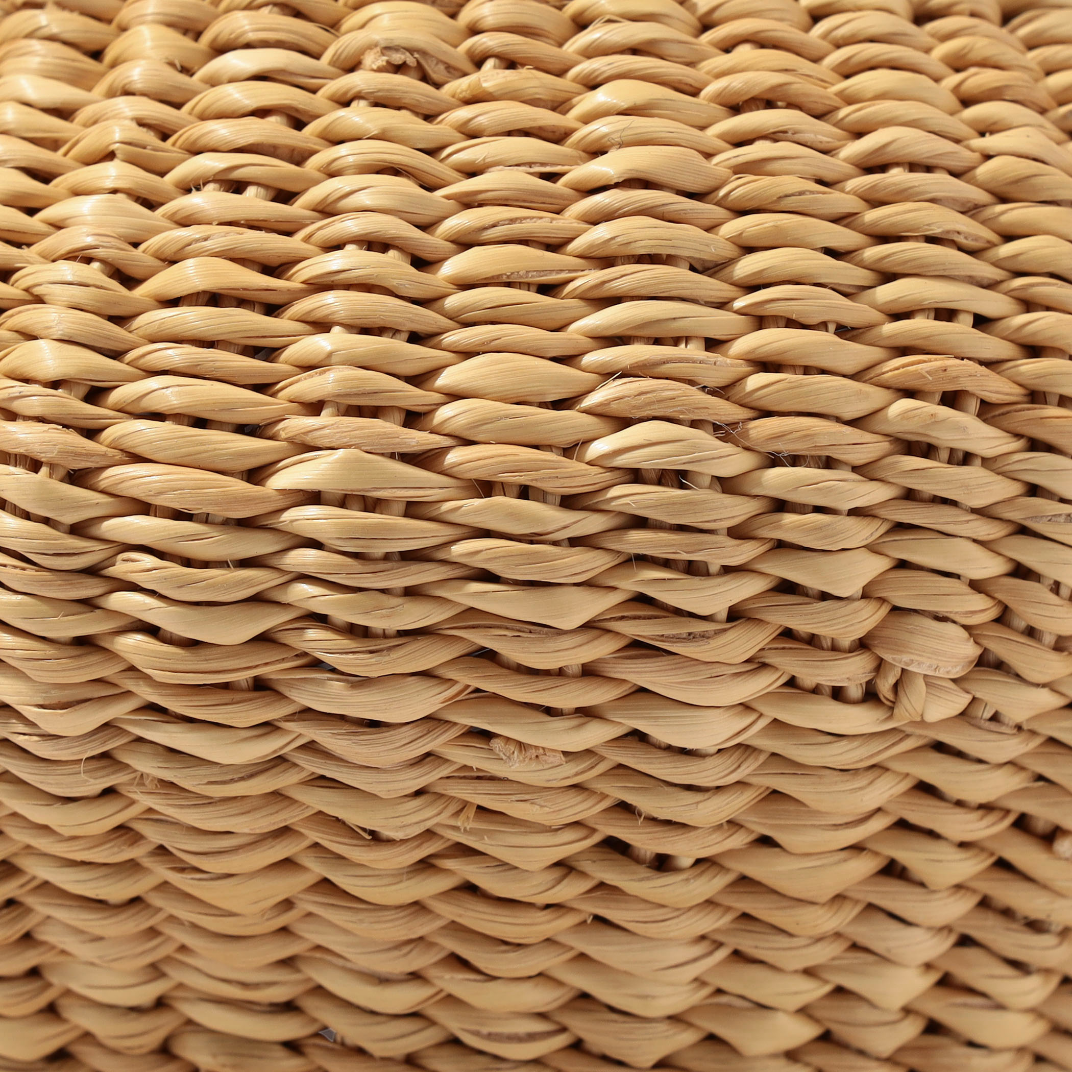 INES BRESSAND MINI WAVE｜トゥモローランド 公式通販