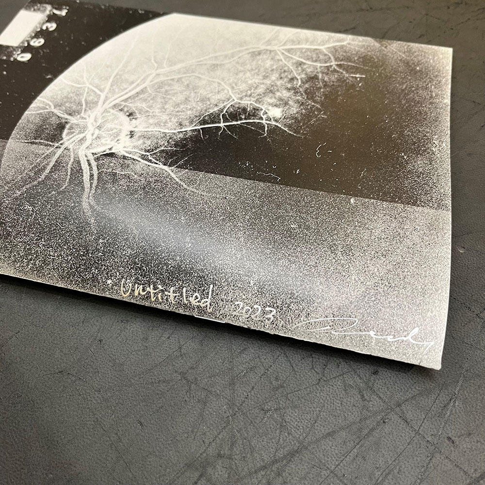 サイン本】Untitled #3 by Daisuke Yokota（横田大輔） 横田大輔 -の