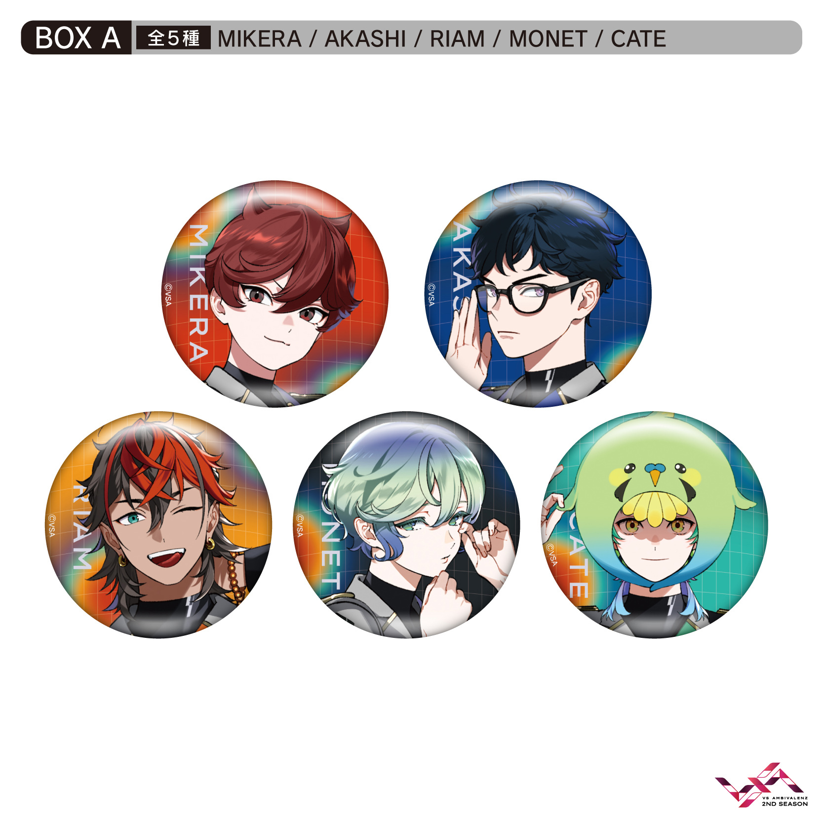 VS AMBIVALENZ 2nd トレーディング缶バッジ（全5種）BOX SET＜A＞ | VS