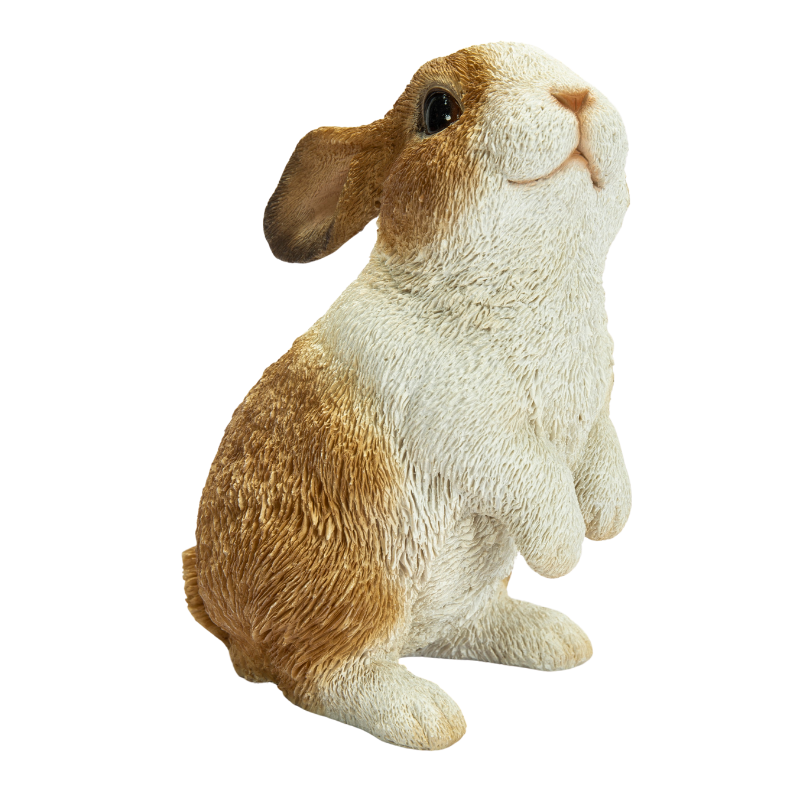 見上げるウサギ｜WooBia公式オンラインショップ – WooBia（ウービア