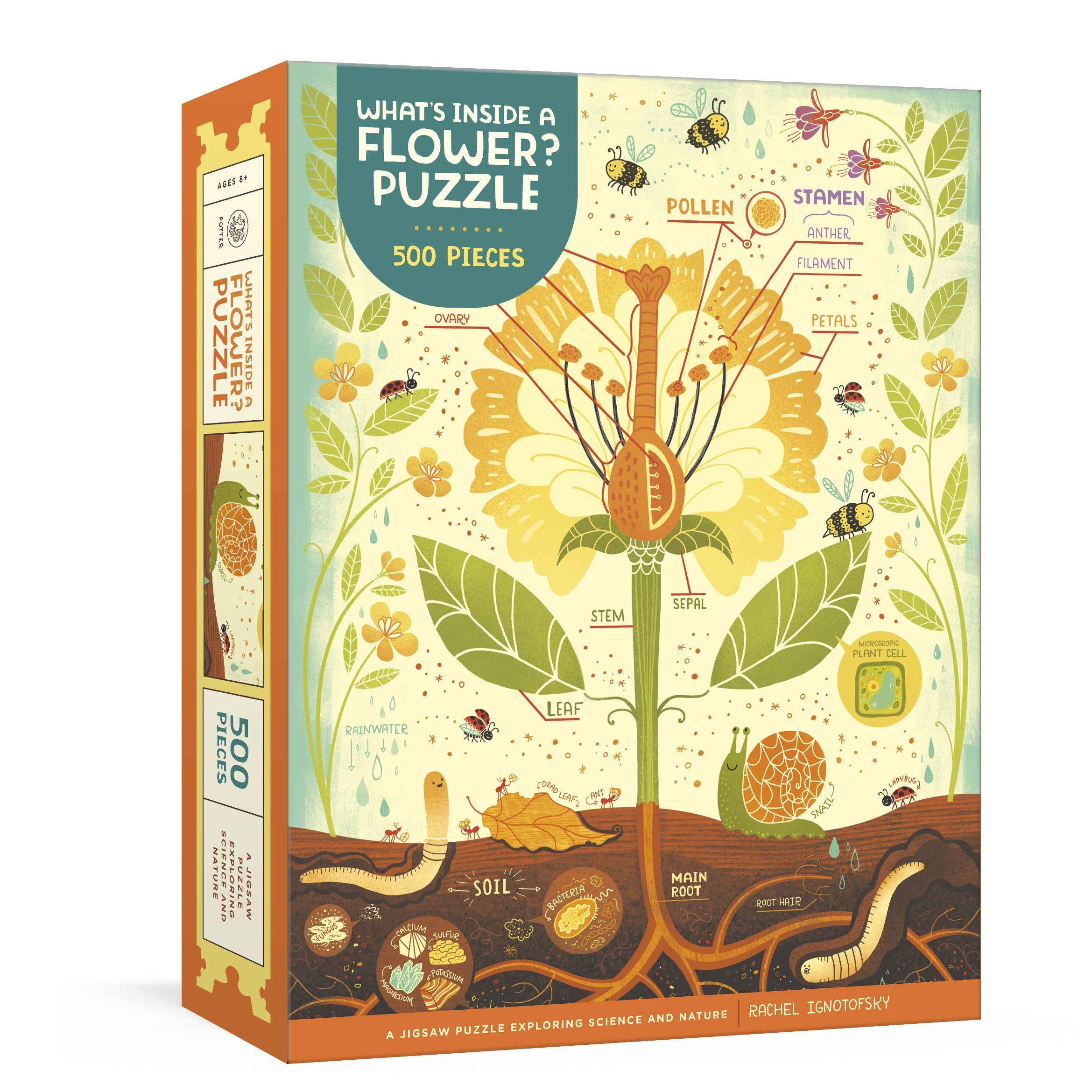 What's Inside a Flower? Puzzle – The Old Farmer's Almanac Store