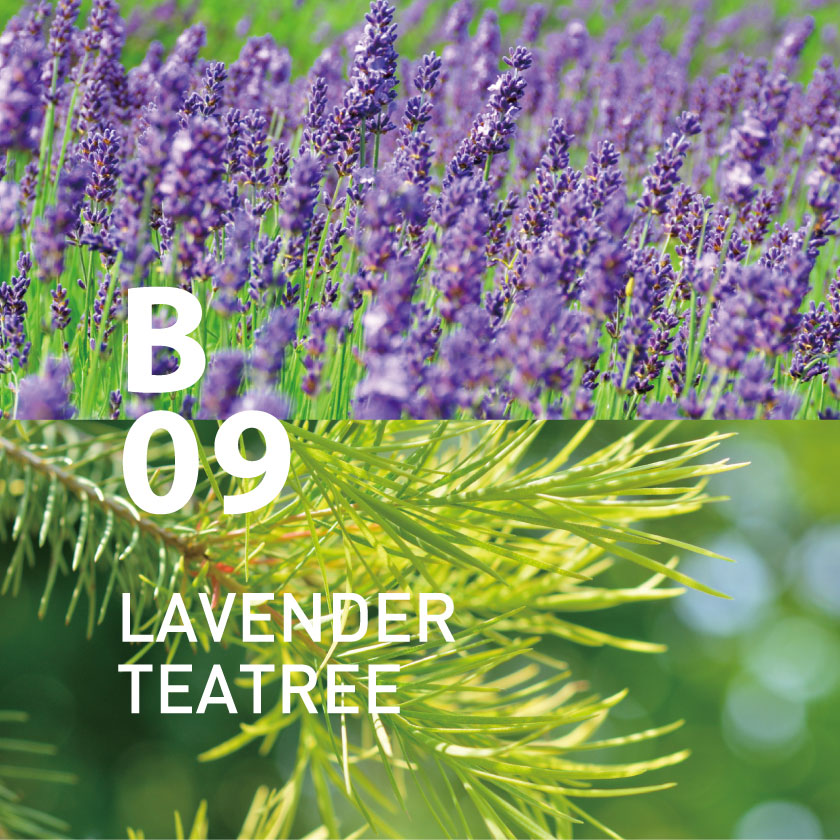 Alice クラリセージ、ティーツリー、イランイラン、ラベンダー 15ml