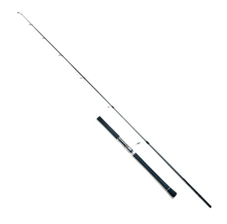 Zeake ジーク シーバスロッド ヴェルザード VOSC74: 竿｜釣具の通販