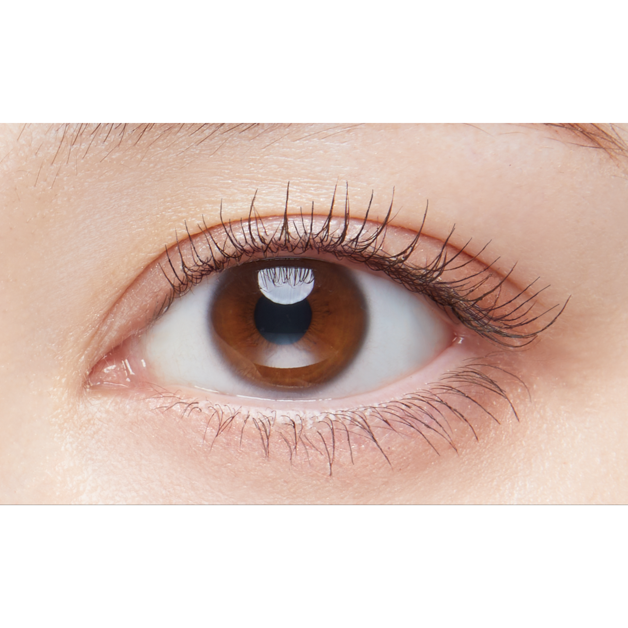 ディーアップ パーフェクトエクステンションマスカラ ピュアブラウン