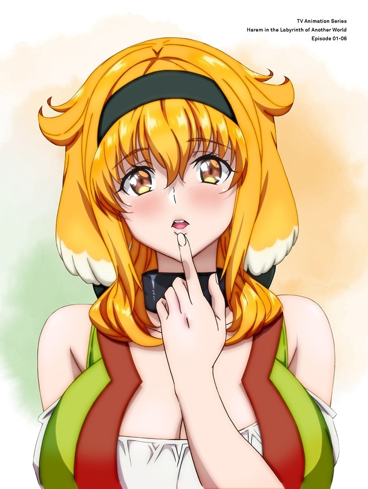 異世界迷宮でハーレムを DVD BOX 上巻《通常版》: BD・DVD・CD