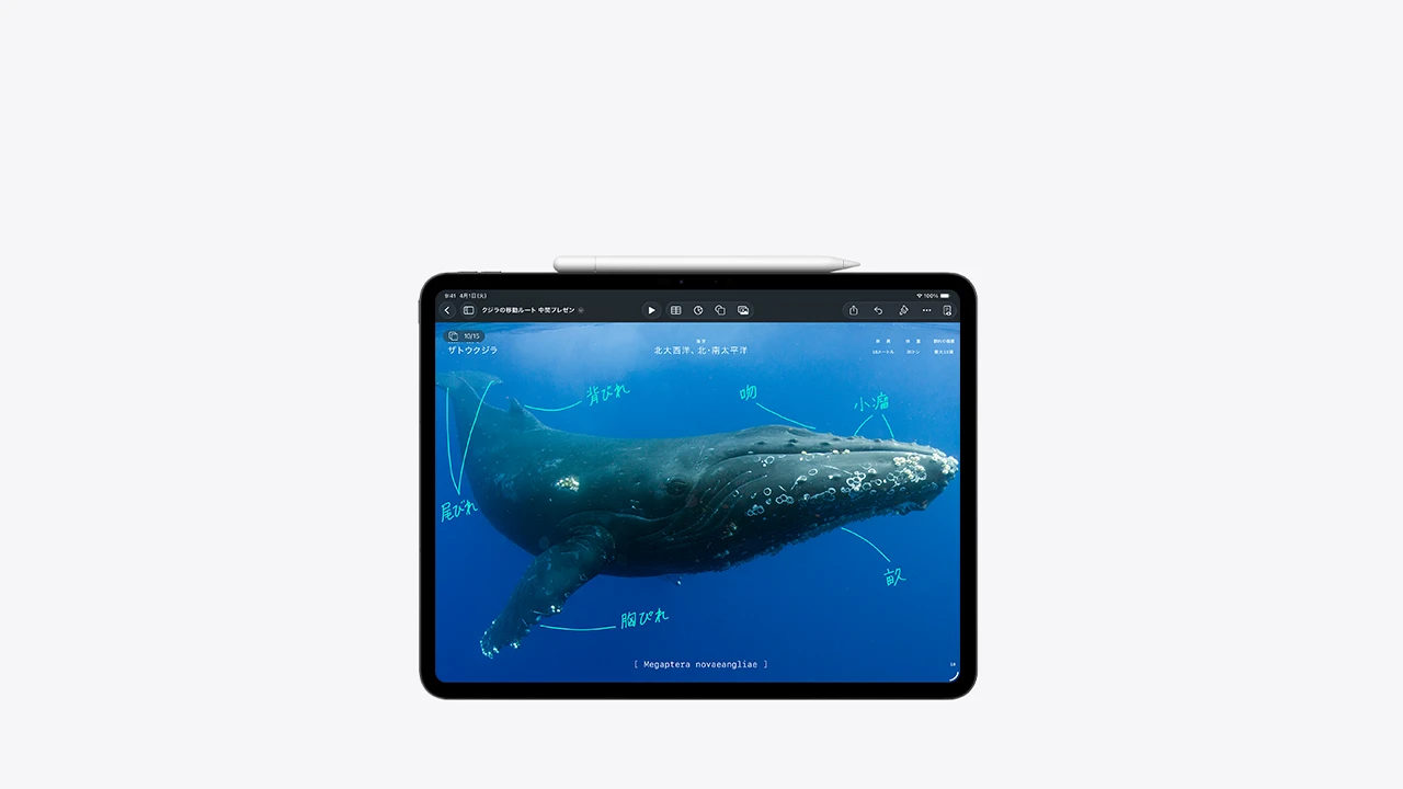 ipad-pro-apple-pencil-usbc-