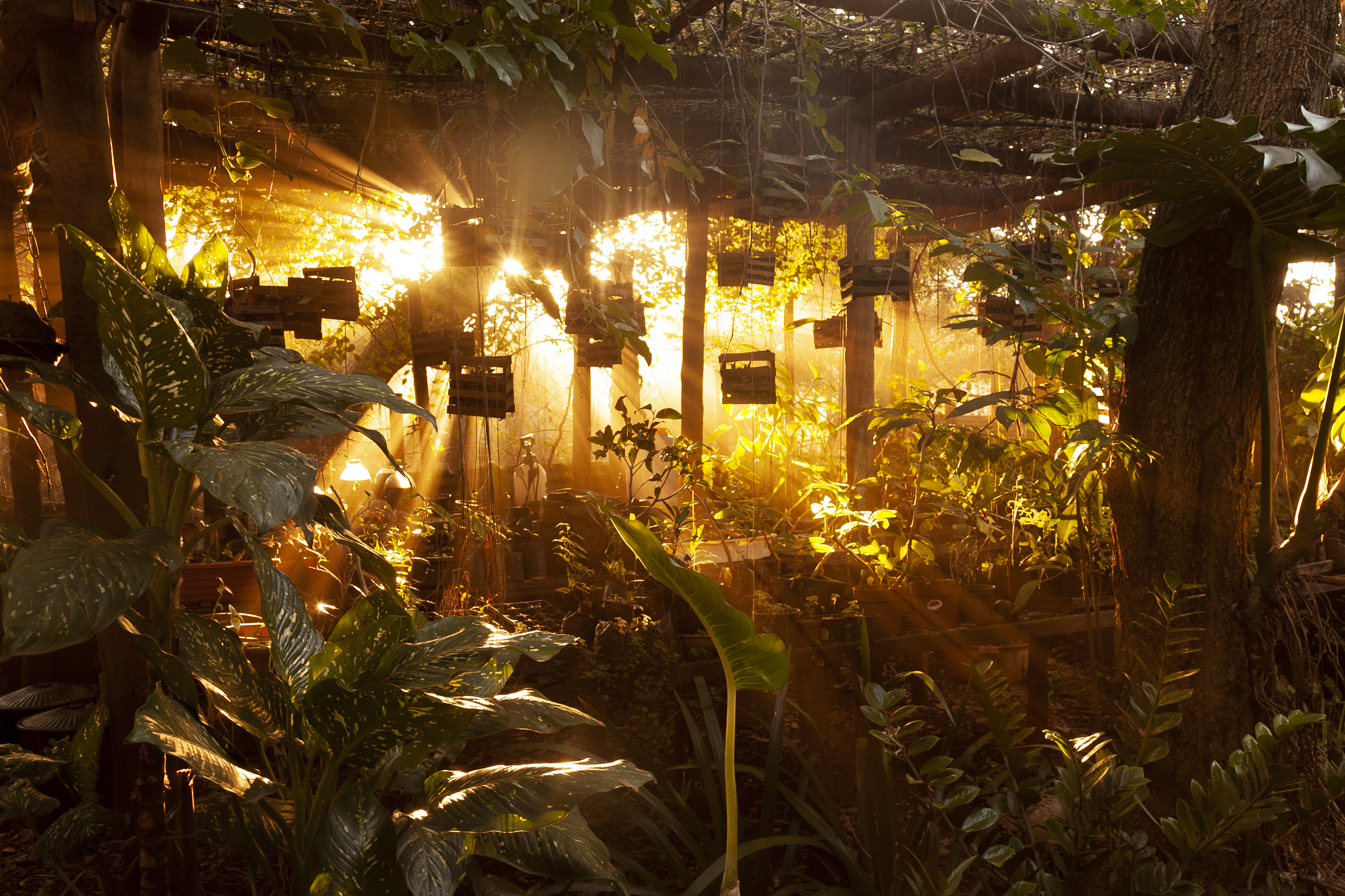 アート・デザイン・音楽 Yves Brunier Landscape architect アート