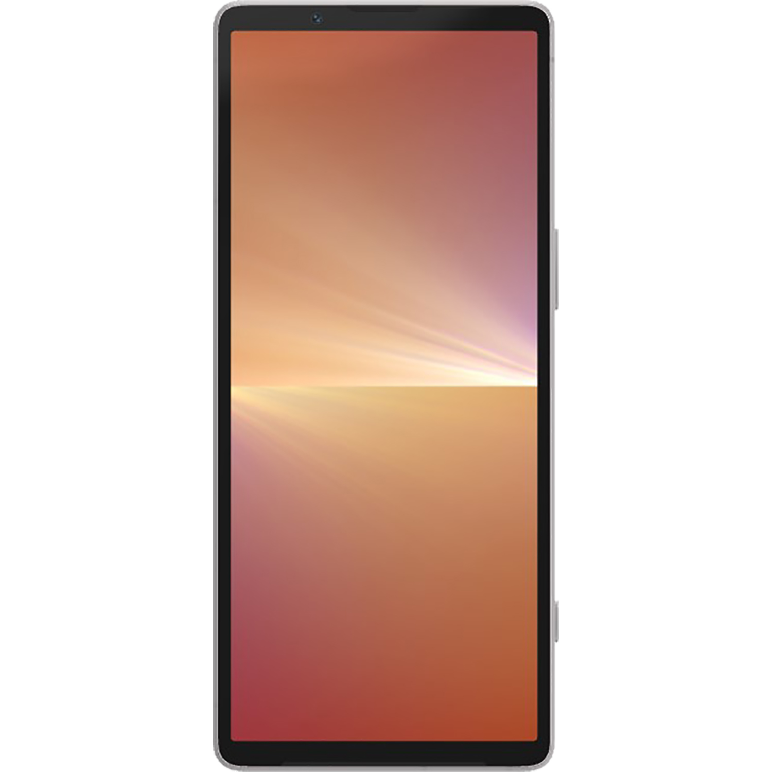 Sony Xperia 5 V 5G Platinum Silver 256GB + 8GB Dual-Sim Unlocked