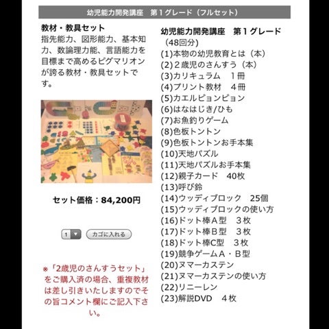 知育】「ピグマリオン 家庭用教材」にするか「ピグマリオン ぷち」に