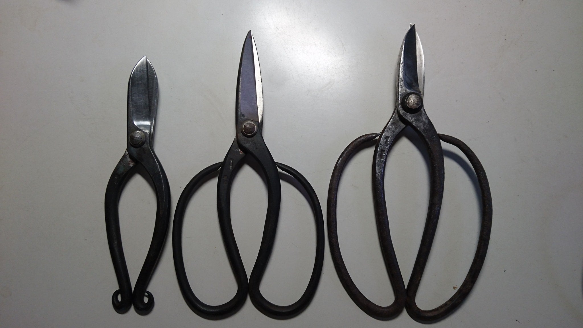 市松（イチマツ）植木屋鋏 その後…….。 | 植木鋏とガーデンデザイン 野