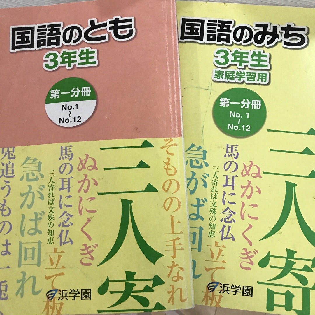 浜学園 ⚪︎国語のみち ⚪︎国語のとも | 塾なし中学受験2022+英語