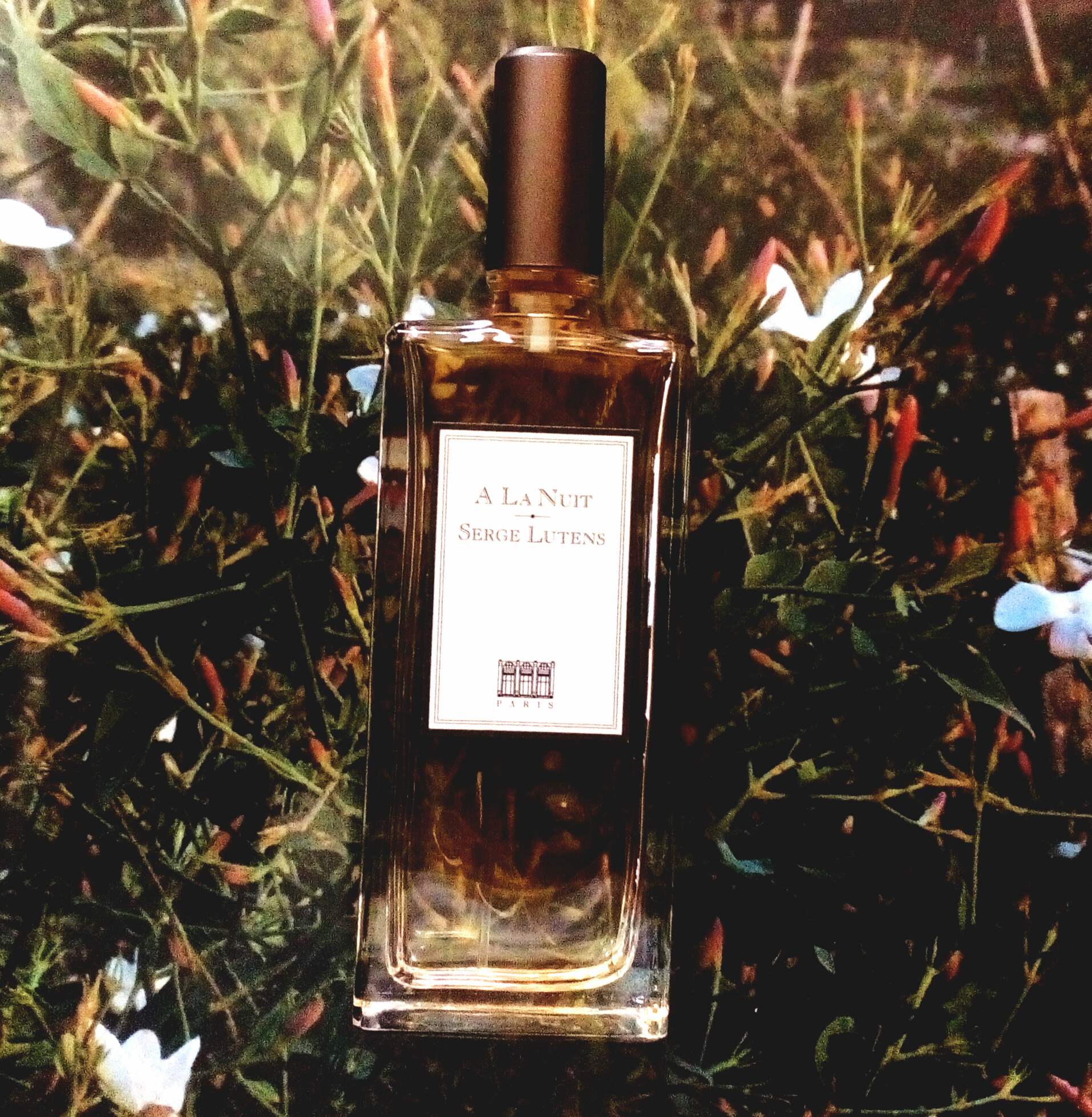 Serge Lutens ユニセックス香水 セルジュ ルタンス SERGE LUTENS