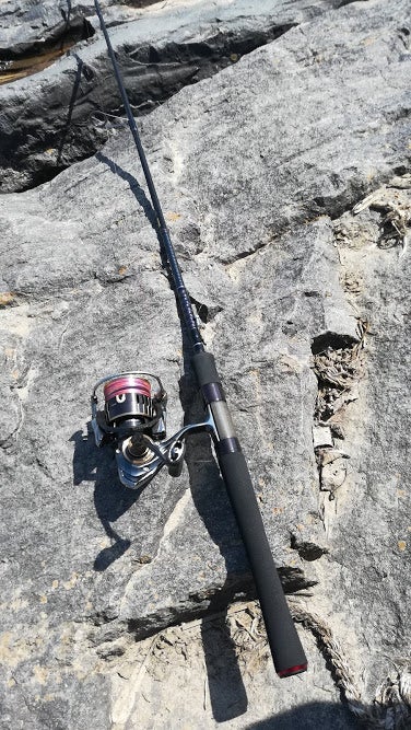 ダイワ ハートランド 6102MLFS-19 レビュー＆インプレ | チョイハゲライフ