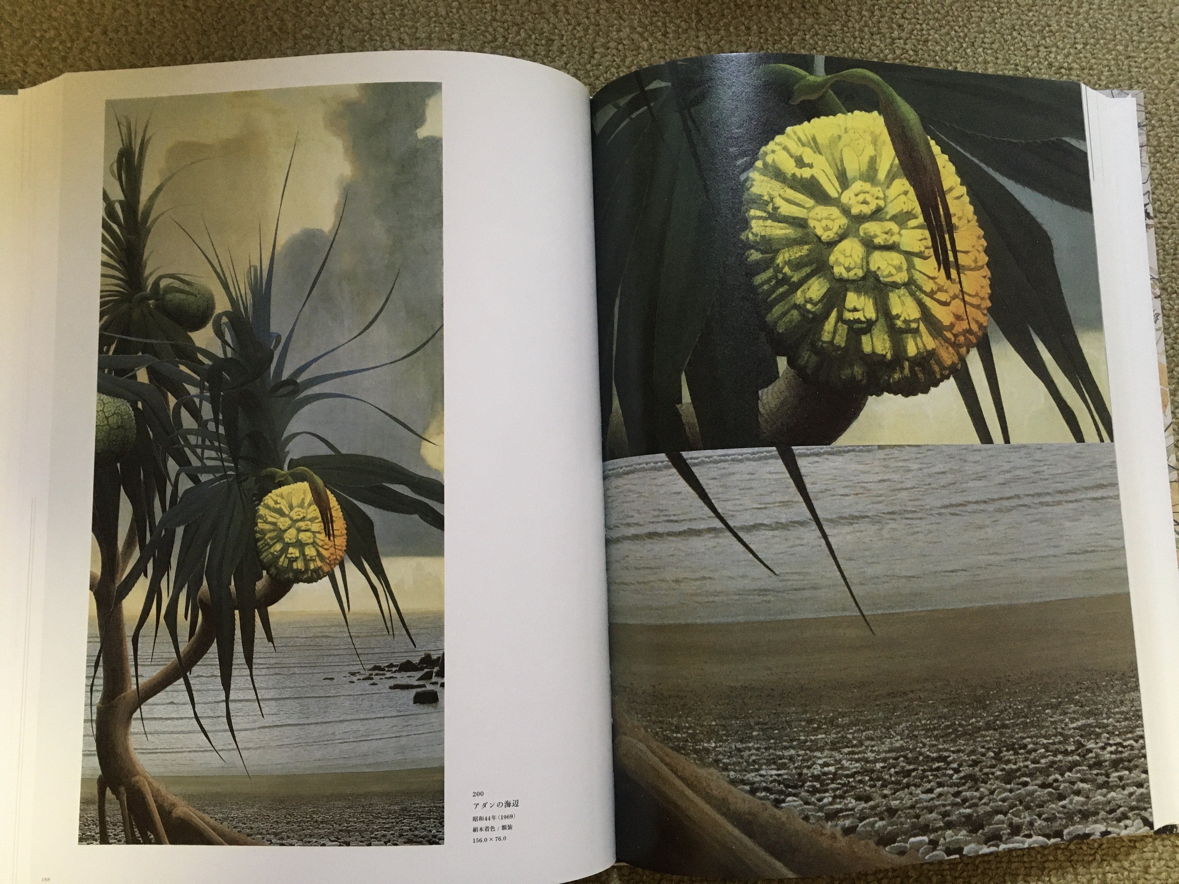 アダンの海辺 ～アダン～ | 映画への扉 by gentle-breeze7