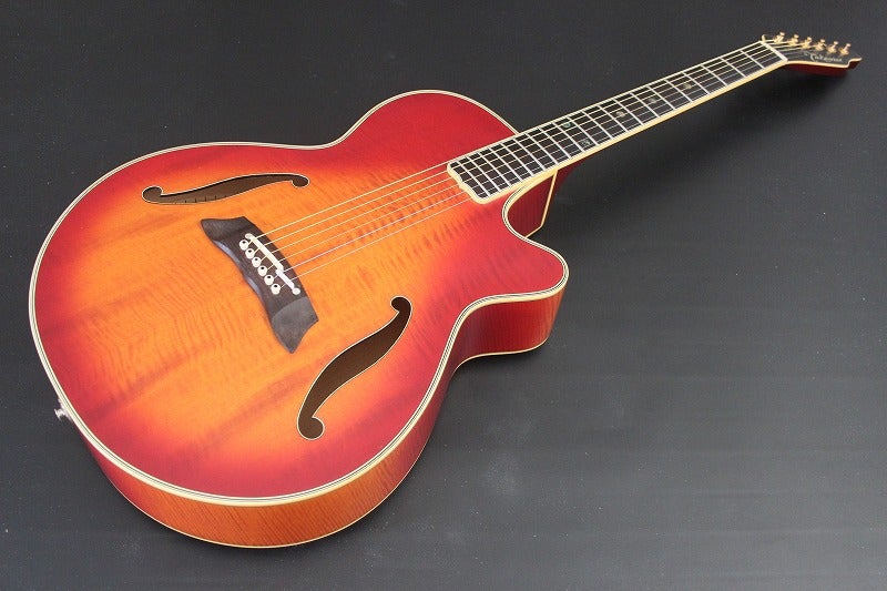 遂に出た！すぐに売れた！長渕剛ファン伝説のギター「Takamine NPT115