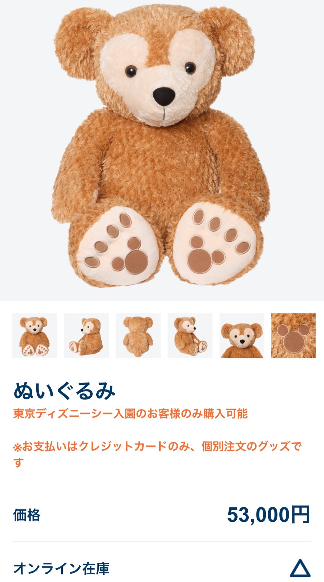 追記あり❗️」帰ってきた❣️ダッフィーのLサイズのぬいぐるみ