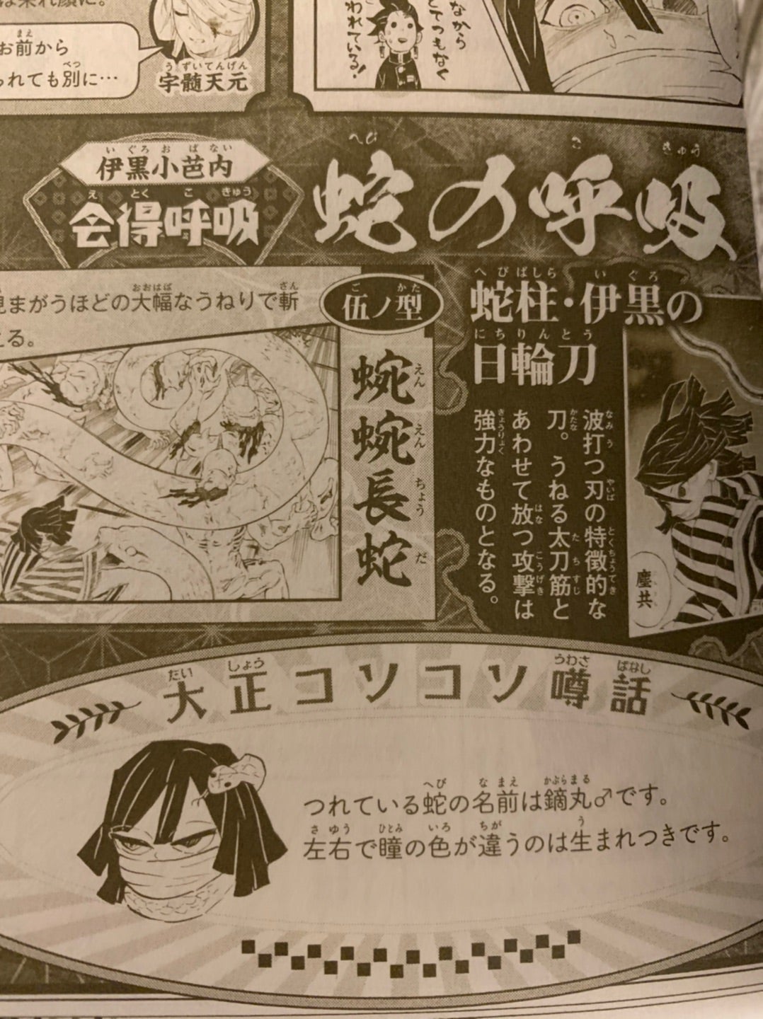 ◇鬼滅の刃公式ファンブック第一弾鬼殺隊見聞録 | 根暗でオタク