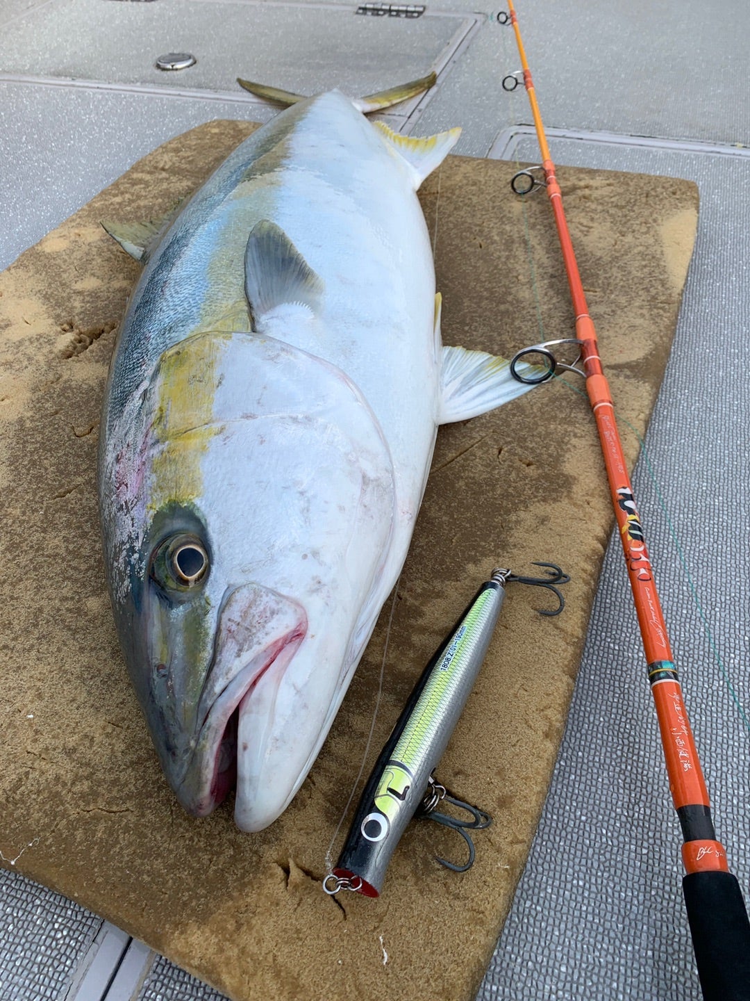 歌姫 ノーマル』 と 『歌姫凪』 の使い分け | カーペンタールアー