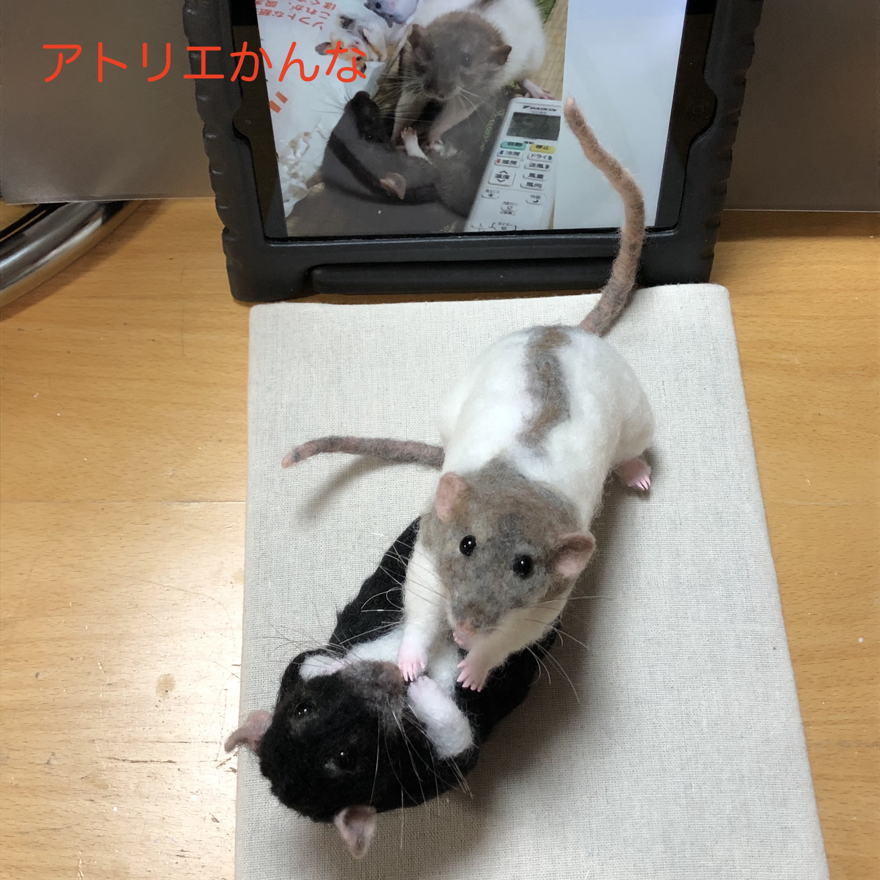 オーダー羊毛フェルト♥賢くて可愛くて何もかもわかっていたファンシー