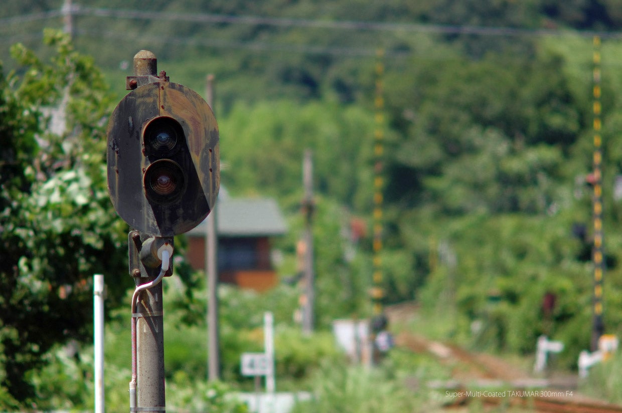 旭光学工業「Super-Multi-Coated TAKUMAR 300mm F4」de 撮影