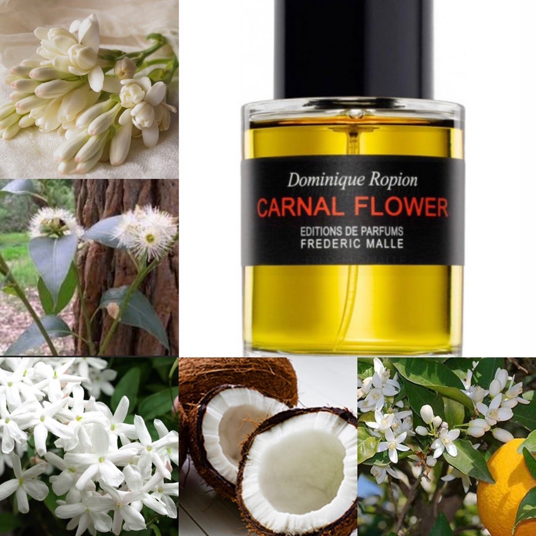 狂わせるほどの美女 香水レビュー カーナルフラワー フレデリック
