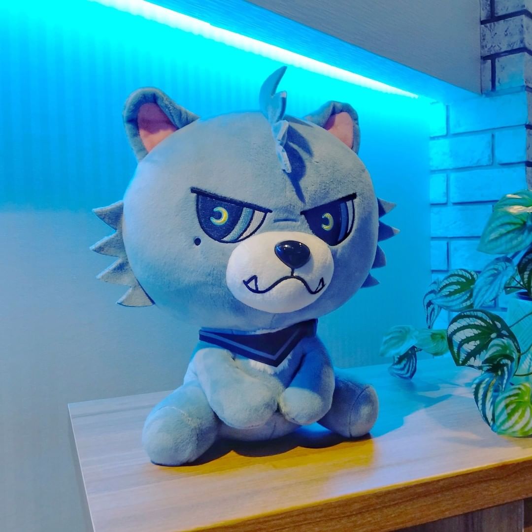 o1080108015086794970.jpg?caw=800