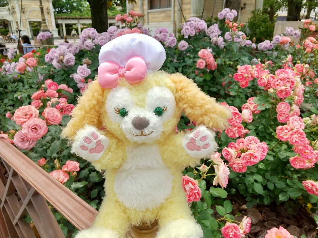 リーナベル クッキーアン ハンドパペット クッキー・アン＆オル・メル