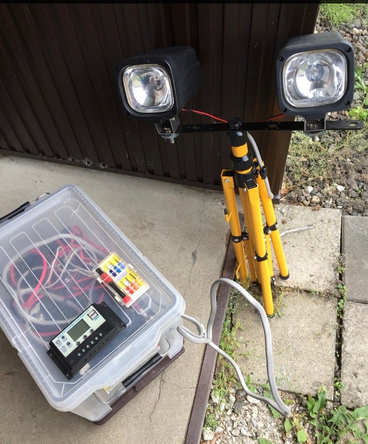 クワガタ その69「今峰HIDライト」 | 春日晴樹オフィシャルブログ