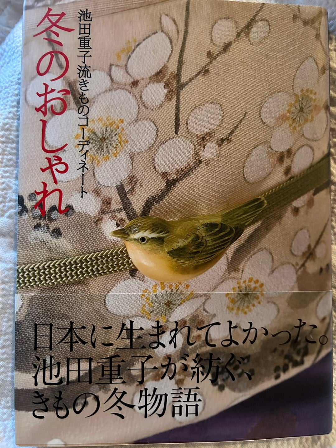 池田重子流 きものコーディネート 冬のおしゃれ | Kazumi's Diary