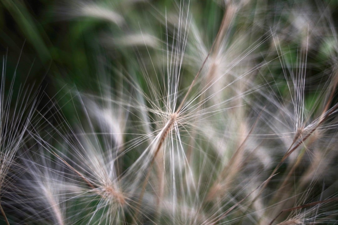 Tamron 28mm f2.5 (02B) | ほぼジャンクな機材でお送りする写真