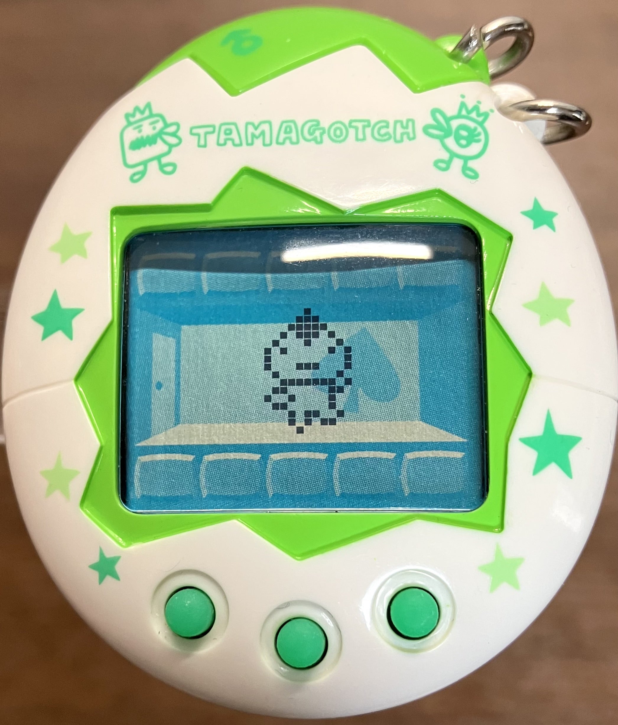 オスっちメスっち】4世代目！ | たまラボ