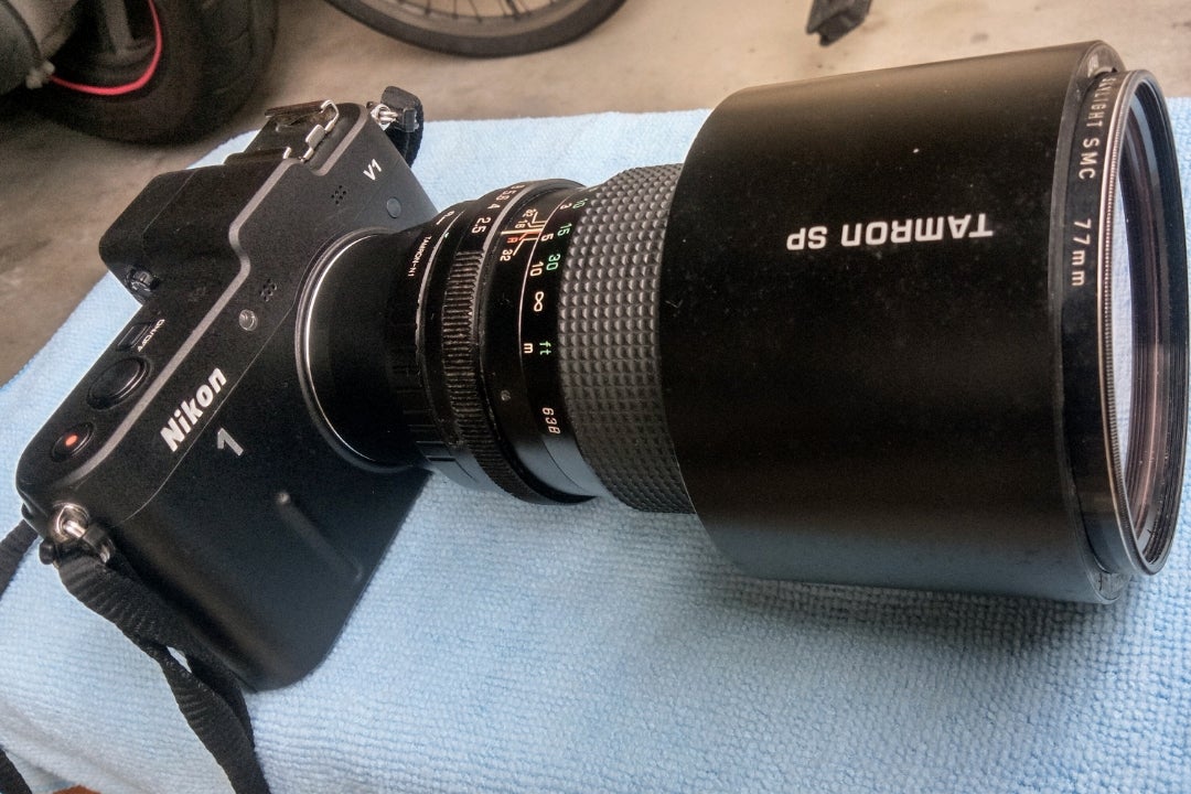 タムロンの単焦点レンズ『SP』の写りは・・ | かわうちのこ