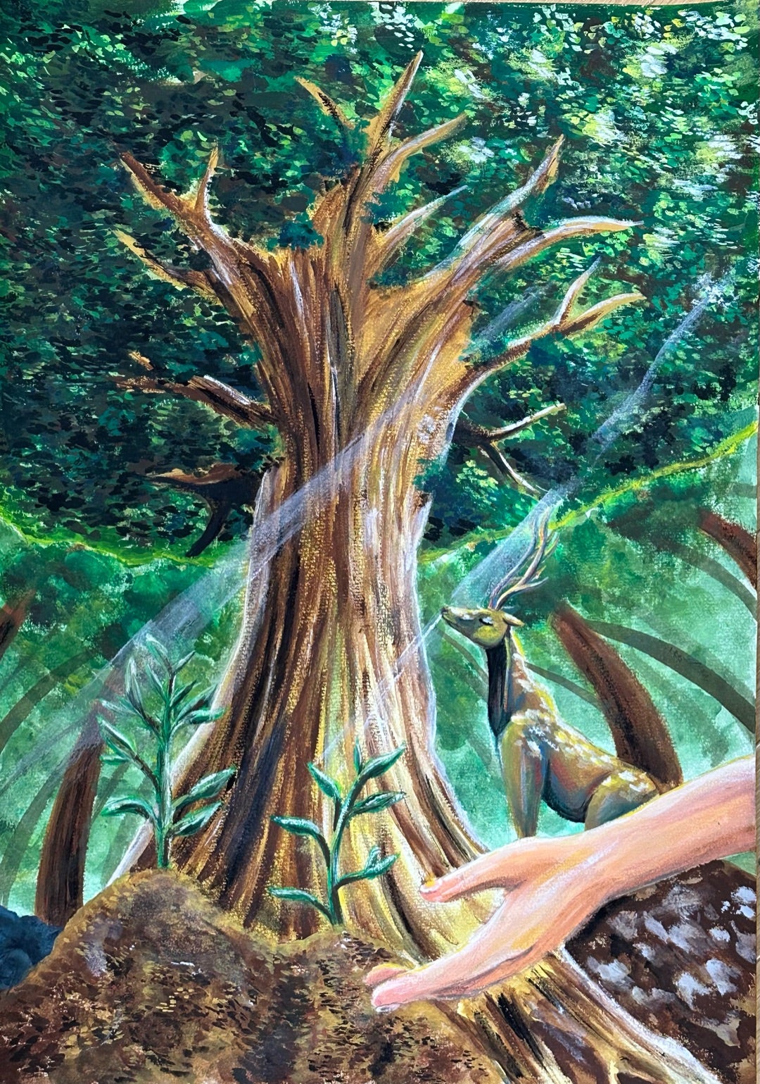 中学生入選】令和6年度静岡県国土緑化運動・育樹運動ポスター原画