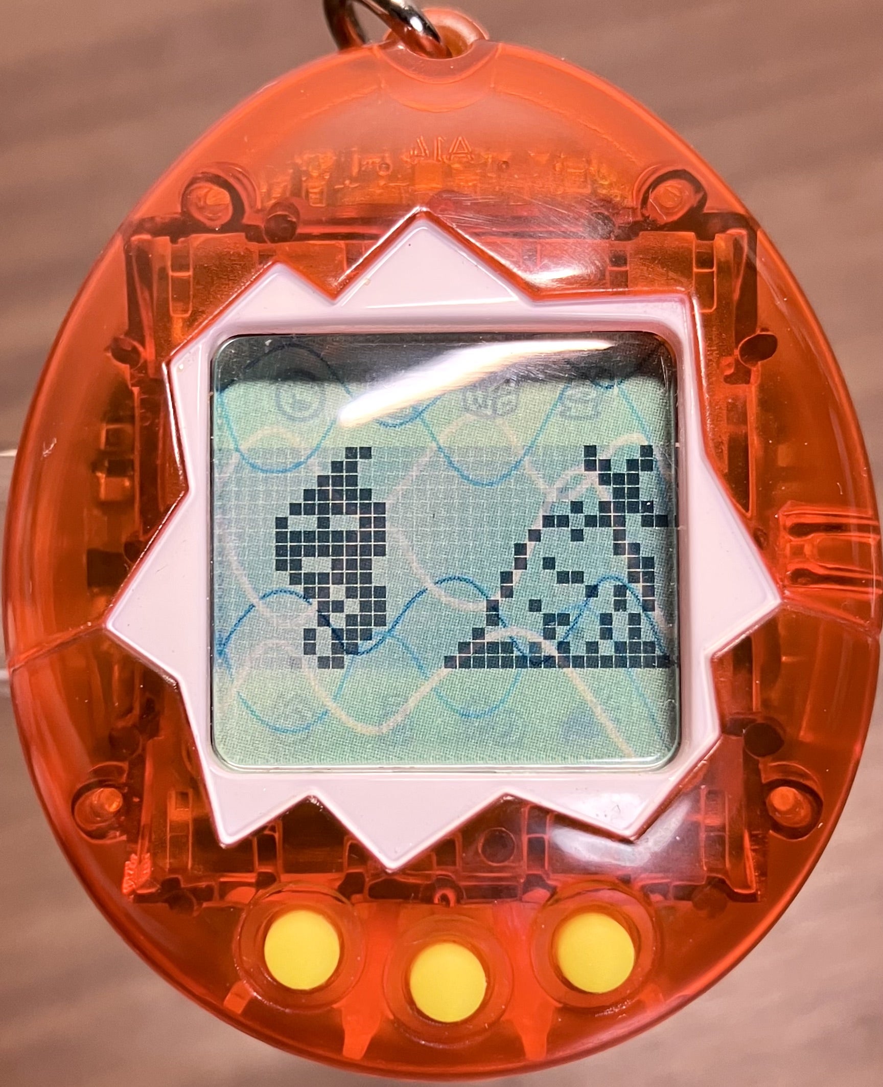 海たま】海で発見！！たまごっち初見プレイ | たまラボ