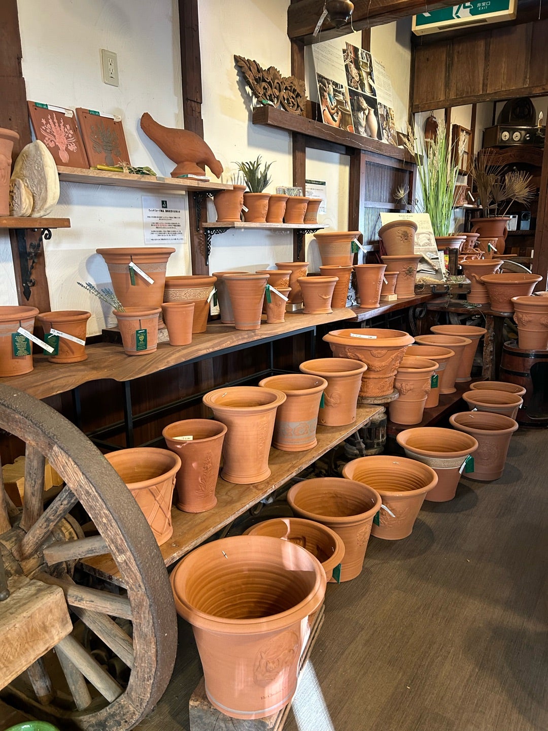 ウィッチフォードの鉢とカゴのお買い物 | Kazumi's Diary