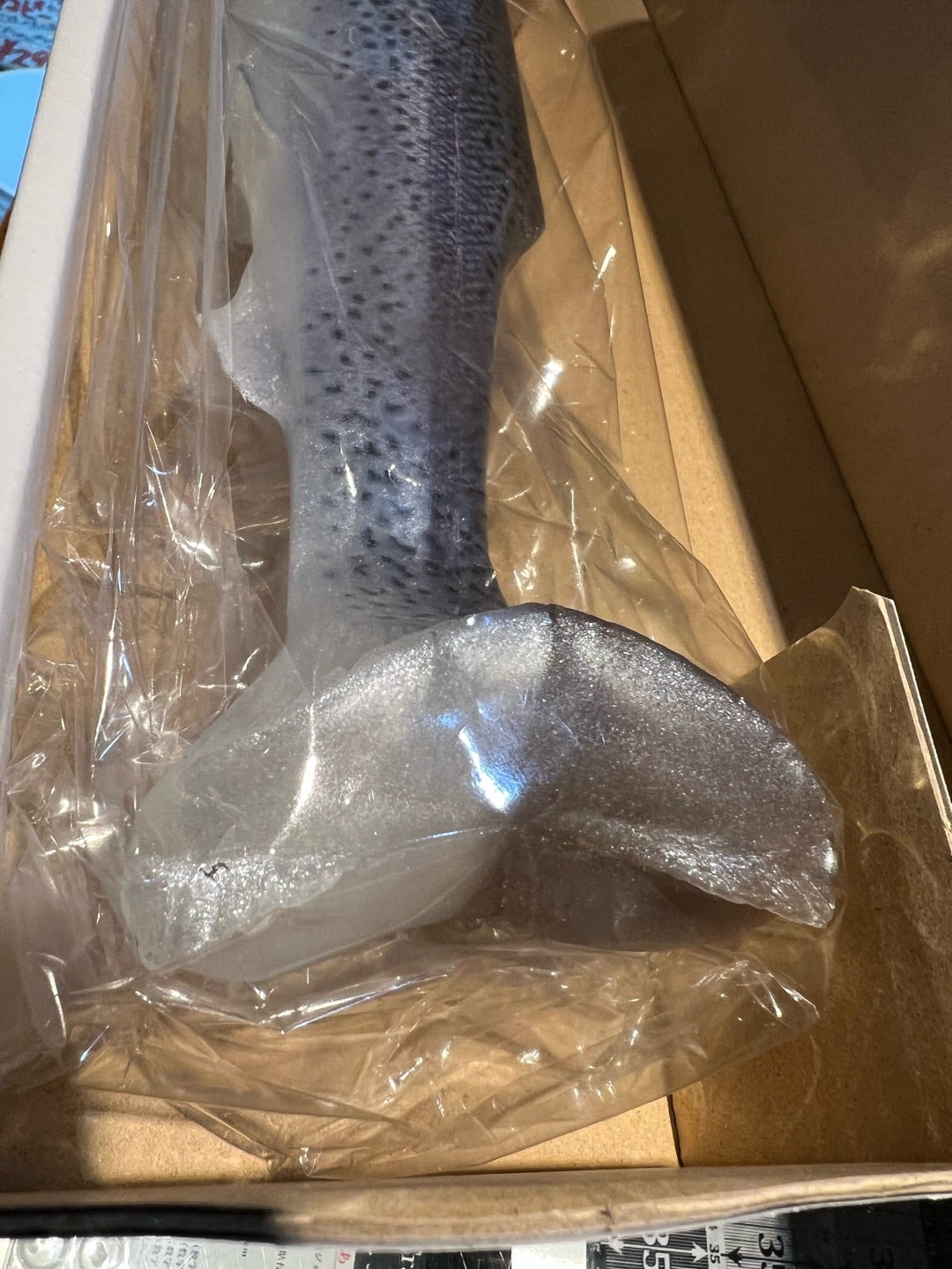 ウルトラカープ久々の入荷 | HAMAスタッフBLOGⅡ