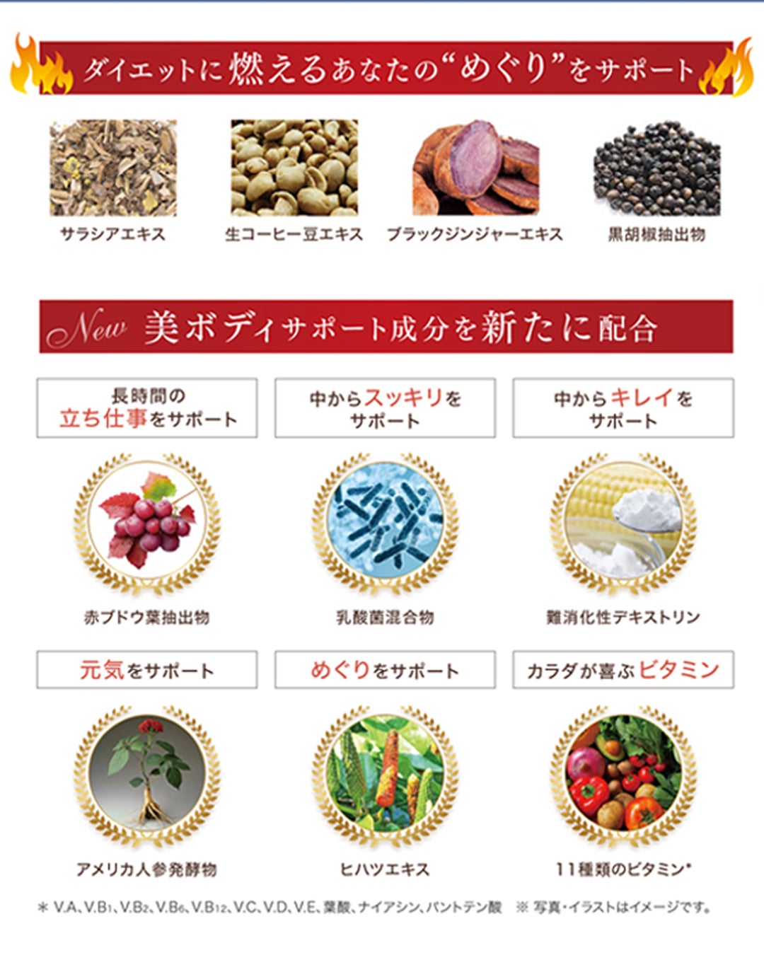 リニューアル新発売！新ビューティーファットバーンEX | エステサロン