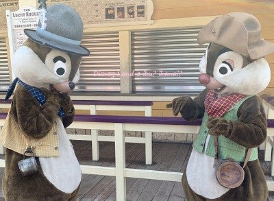 グリズリー・ガルチのチップ＆デールのフリーグリ（1）☆香港