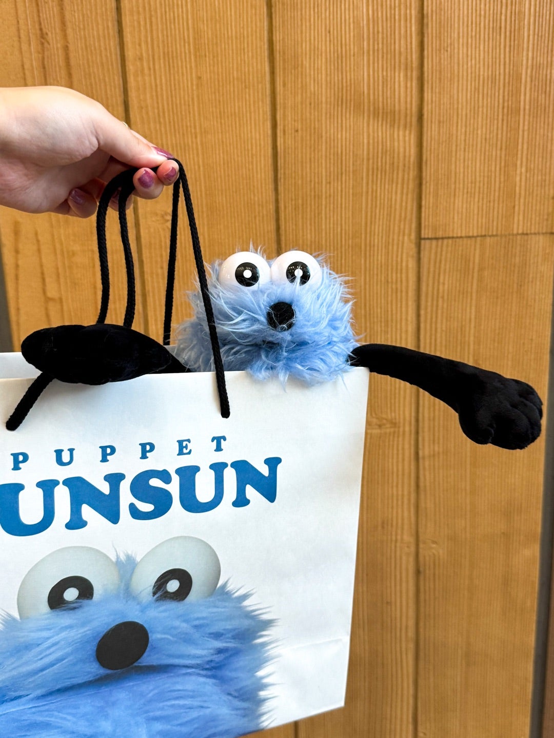 ついにお迎えしたスンスンぬいぐるみ | Hatama Official Blog