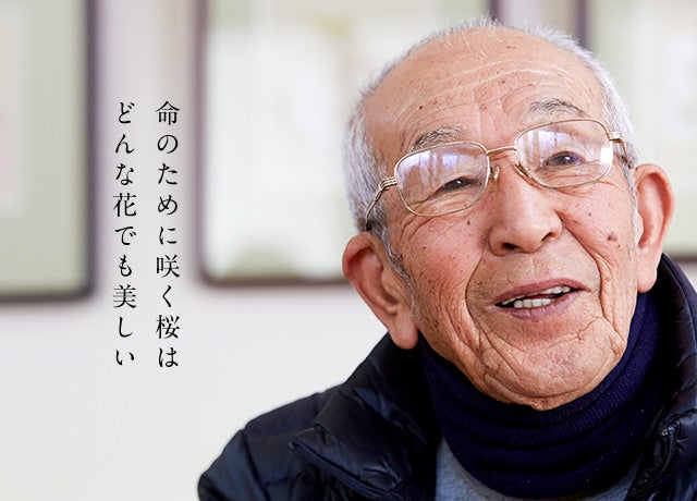 桜守」の佐野藤右衛門さん97歳で逝く | akiraの徒然日記