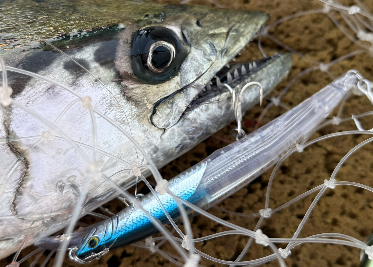 サワラキャスティング用ミノーの選定 | side-penkoのブログ