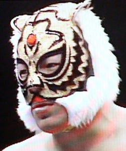 三沢タイガー マスク遍歴23枚目 「金ラメゲジゲジ 試合用H」 | THE