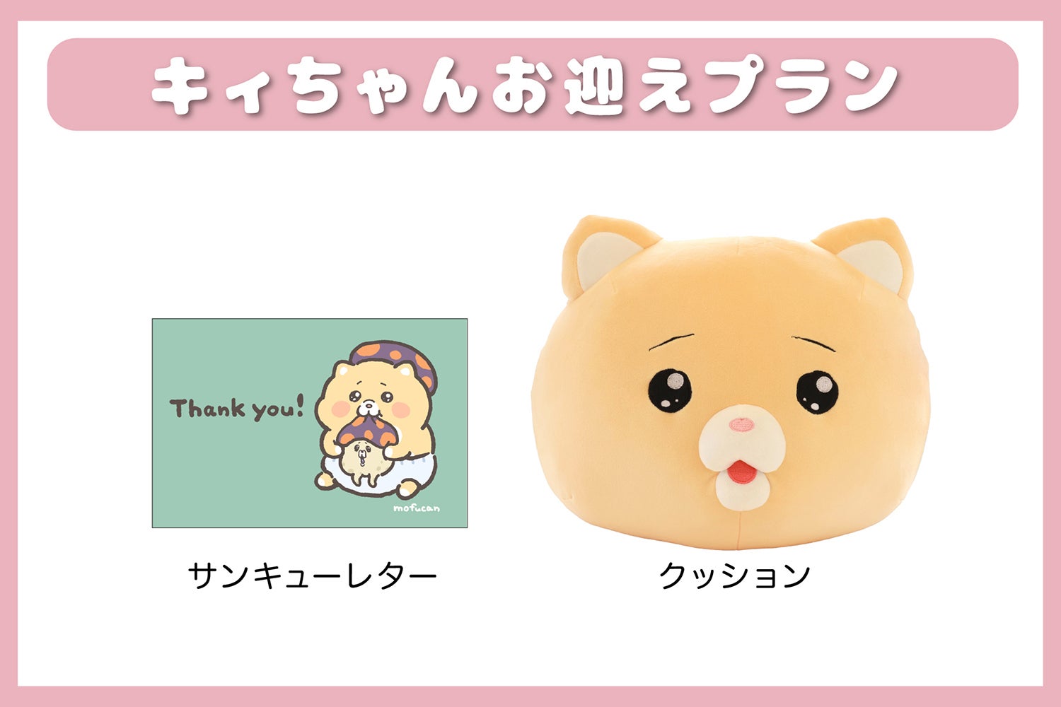 泣きむし猫のキィちゃんクッション化プロジェクト - CAMPFIRE